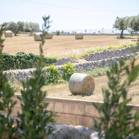 I Trulli Di Zoe Holiday home Martina Franca